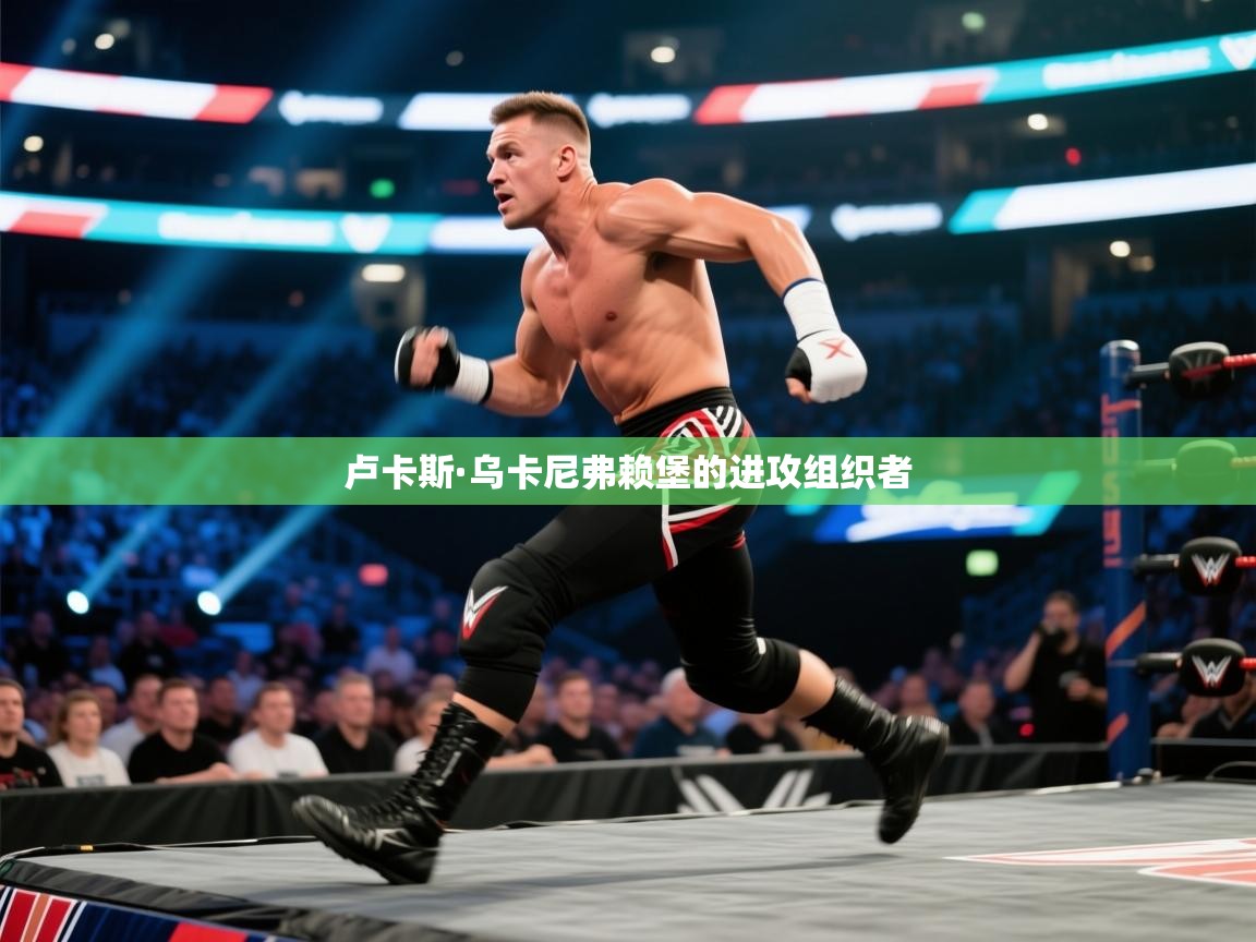 卢卡斯·乌卡尼弗赖堡的进攻组织者  第2张