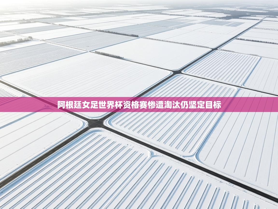 阿根廷女足世界杯资格赛惨遭淘汰仍坚定目标 第1张