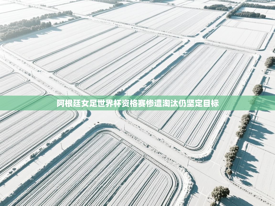 阿根廷女足世界杯资格赛惨遭淘汰仍坚定目标 第2张