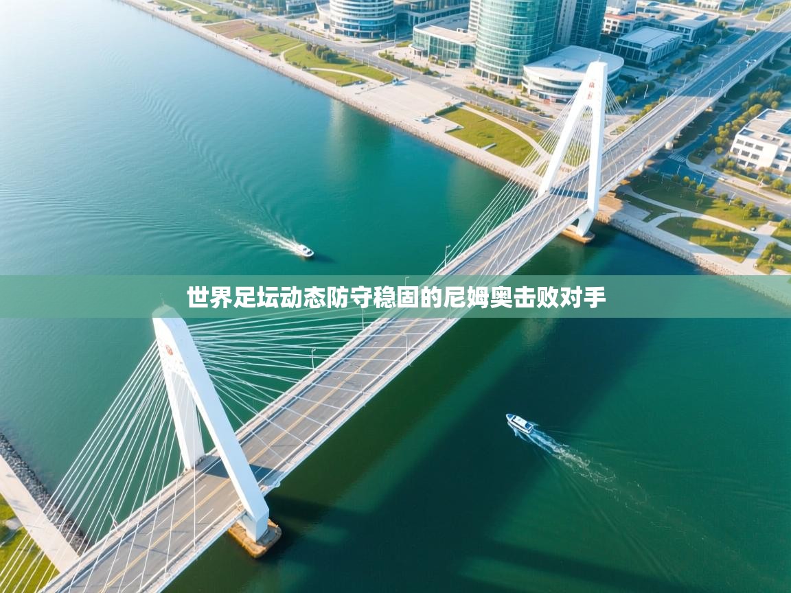 世界足坛动态防守稳固的尼姆奥击败对手