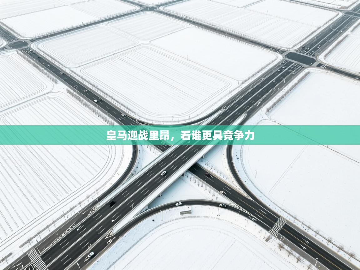 皇马迎战里昂,看谁更具竞争力 第2张